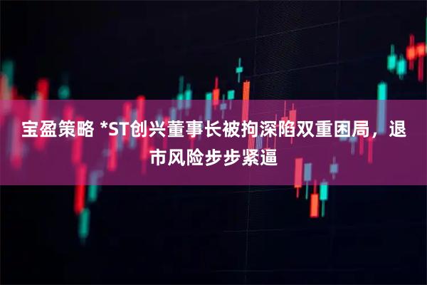 宝盈策略 *ST创兴董事长被拘深陷双重困局，退市风险步步紧逼