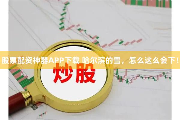 股票配资神器APP下载 哈尔滨的雪，怎么这么会下！