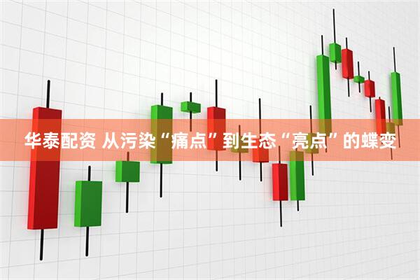 华泰配资 从污染“痛点”到生态“亮点”的蝶变