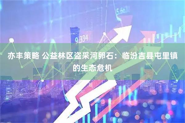 亦丰策略 公益林区盗采河卵石：临汾吉县屯里镇的生态危机