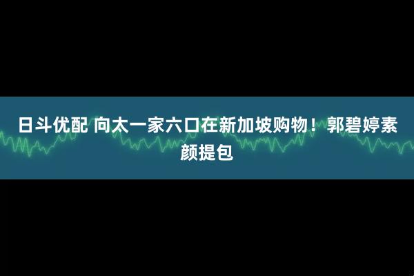 日斗优配 向太一家六口在新加坡购物！郭碧婷素颜提包