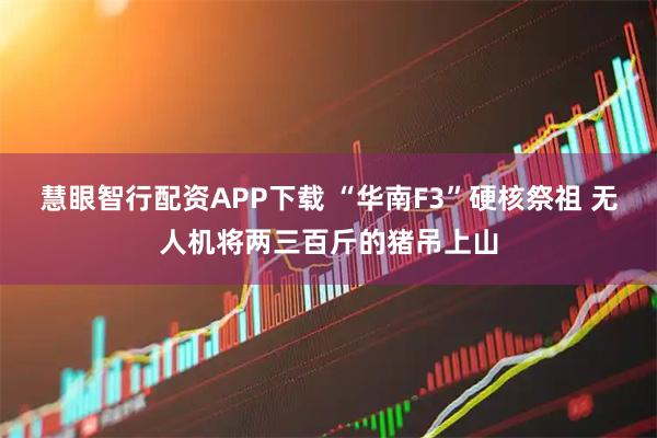 慧眼智行配资APP下载 “华南F3”硬核祭祖 无人机将两三百斤的猪吊上山